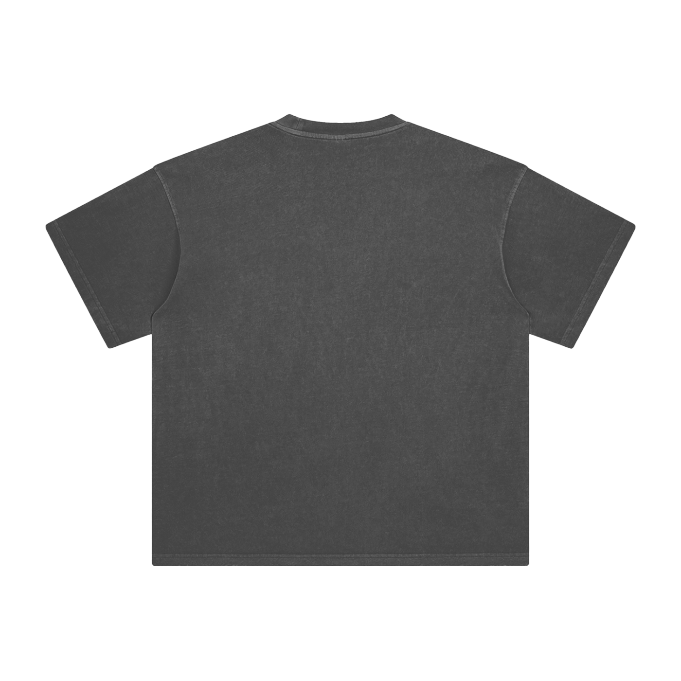 009 Enzyme Washed T-Shirt