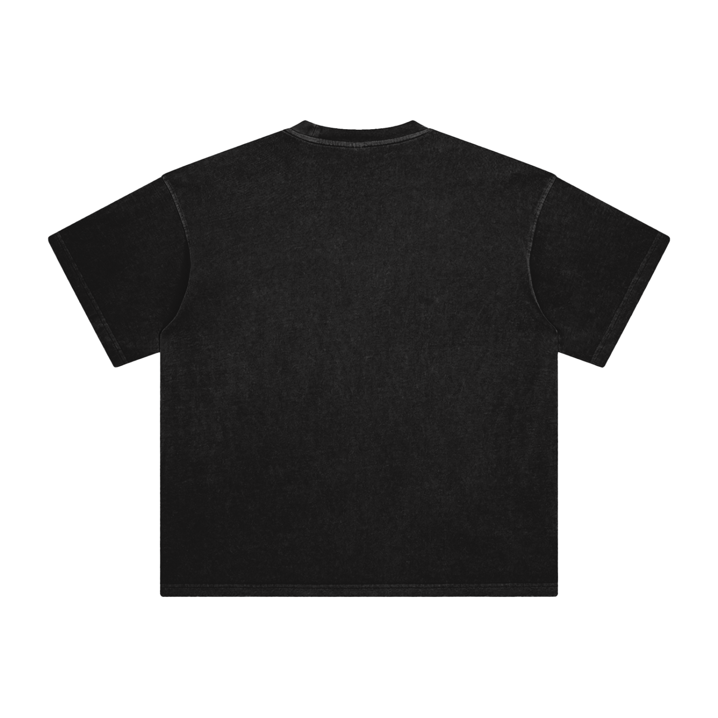 009 Enzyme Washed T-Shirt