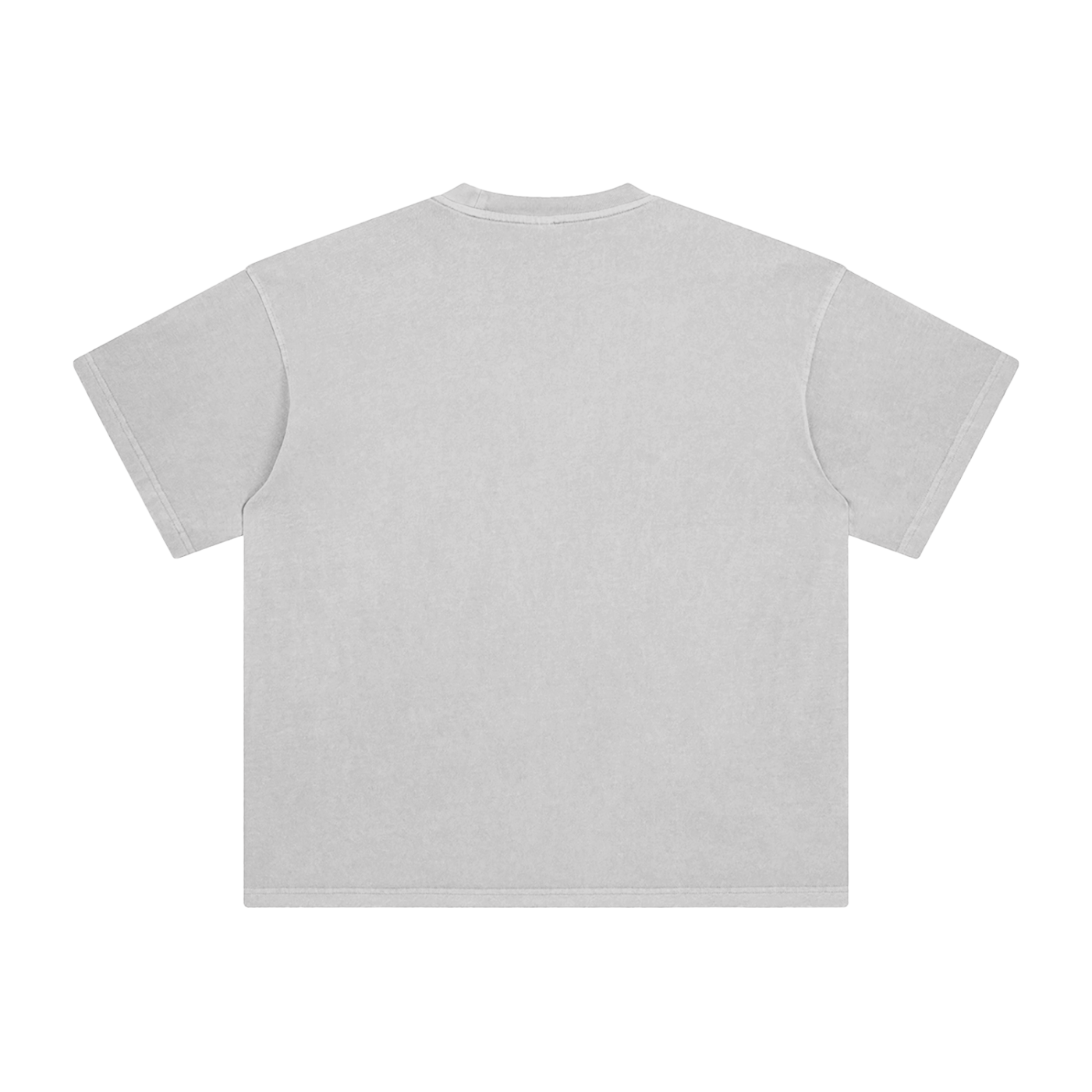 009 Enzyme Washed T-Shirt