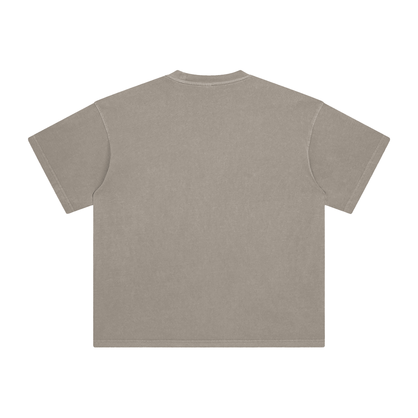 009 Enzyme Washed T-Shirt